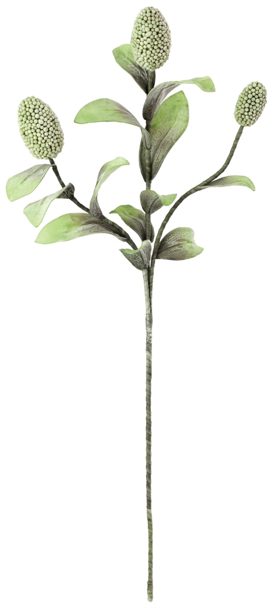 CSL1065 48 in. No.2065 Botanica Decor - Case of 6