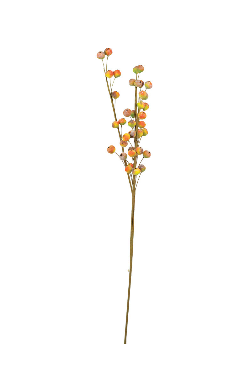CSL2537 No.2537 Botanica Decor