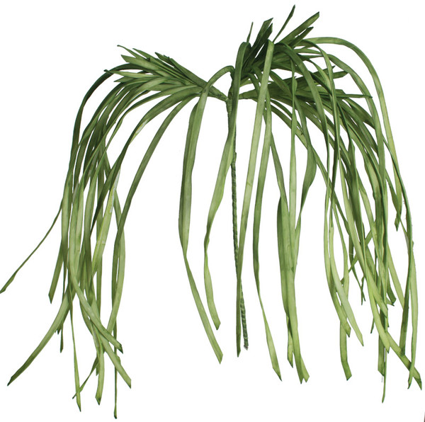 CSL1183 50 in. No.2183 Botanica Decor