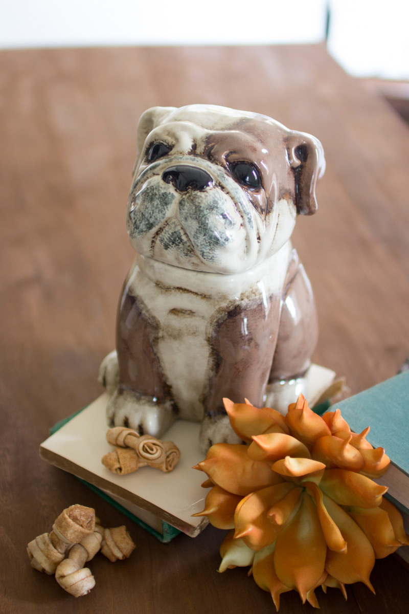 CDV1766 7 x 7.5 x 10 in. Ceramic Bull Dog Canister