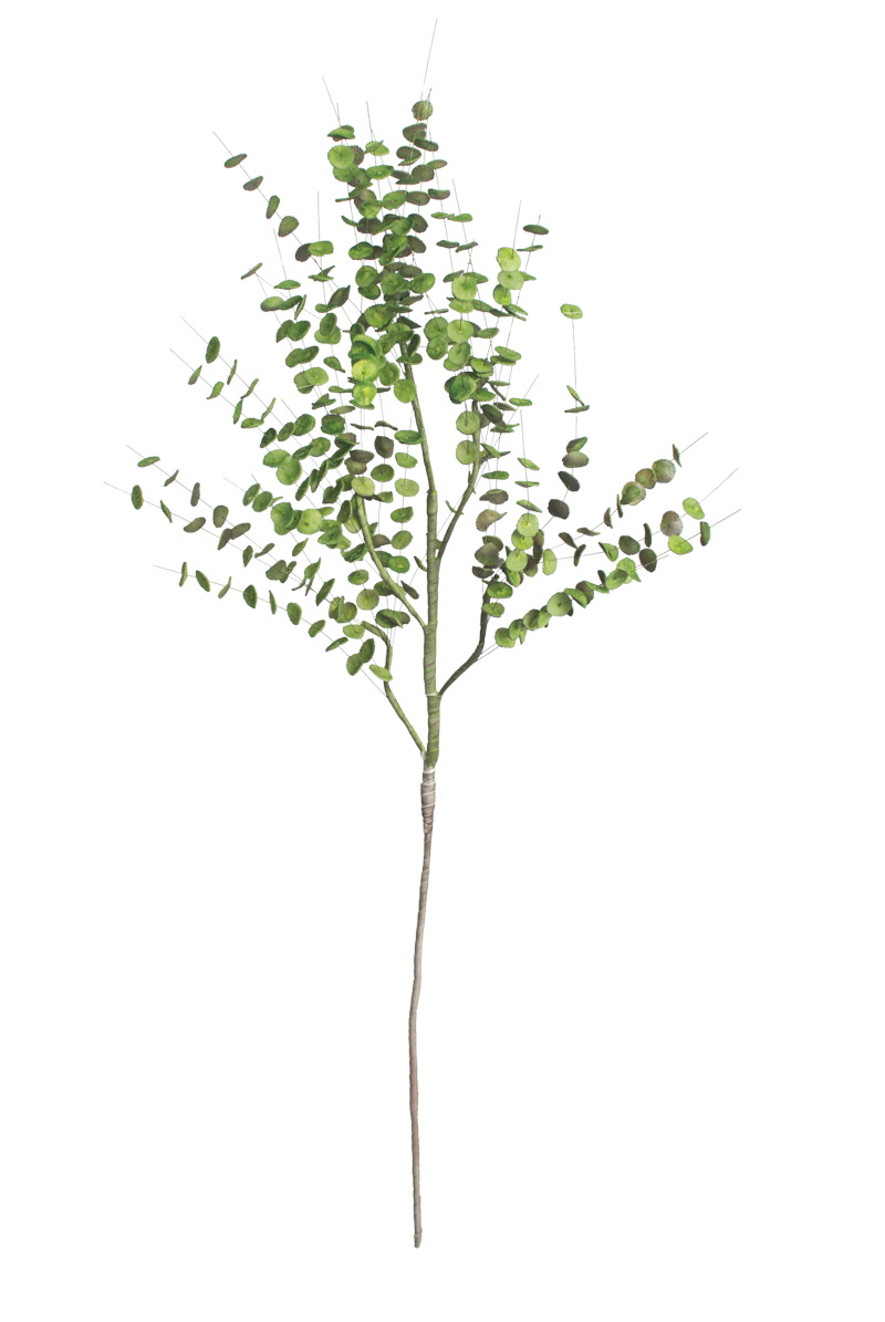 CLX2650 42 in. No.850 Botanica Decor - Case of 6
