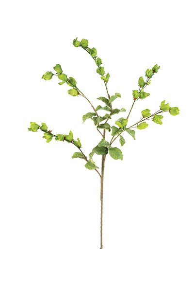 CLX3187 40 in. No.3187 Botanica Decor