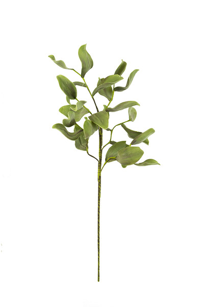 CSL2425 40.5 in. No.2425 Botanica Decor