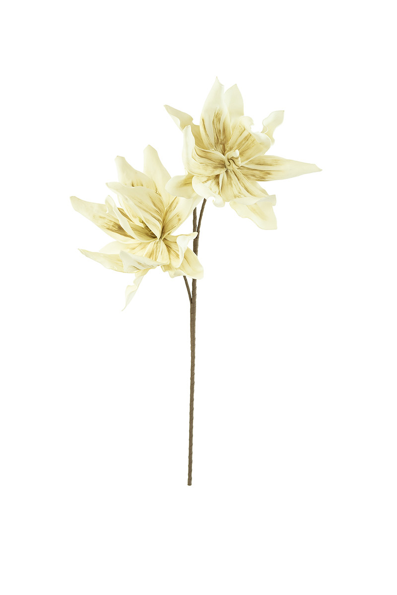 CSL2446 41 in. No.2446 Botanica Decor