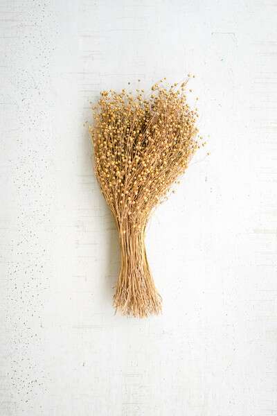NTRP1054 22 in. 7 oz Bundle of Natural Lino Stems