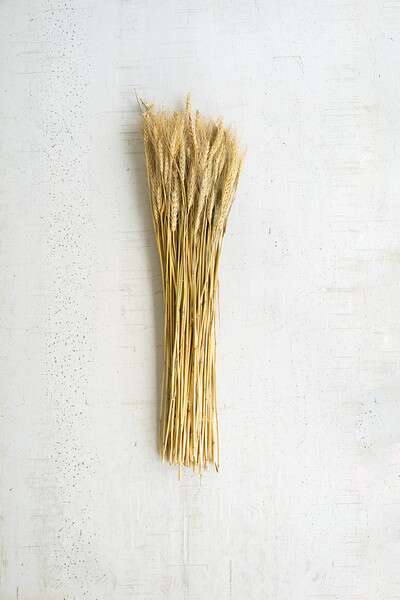 NTRP1056 30 in. 7 oz Bundle of Natural Wheat Stems