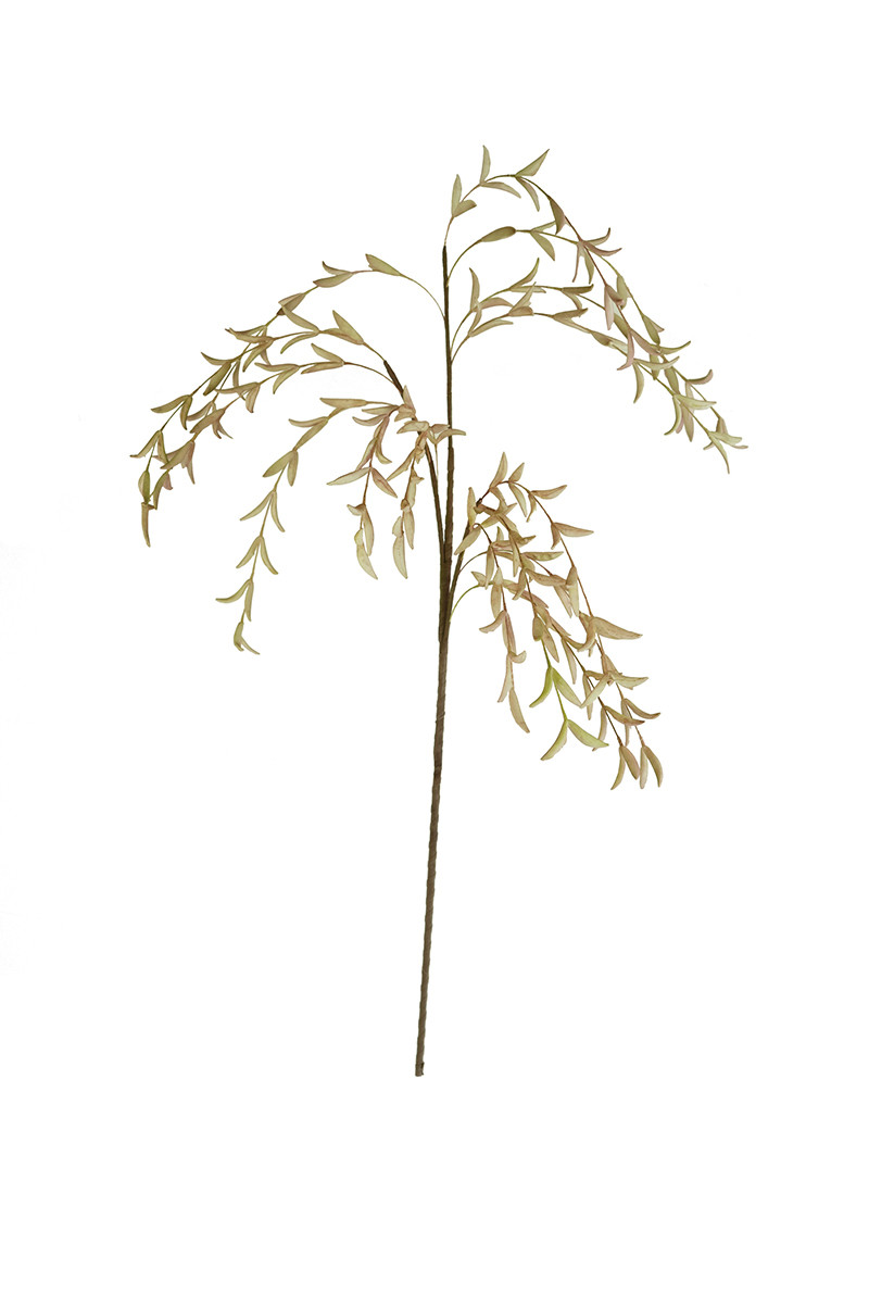 CSL2502 48 in. No.2502 Botanica Decor