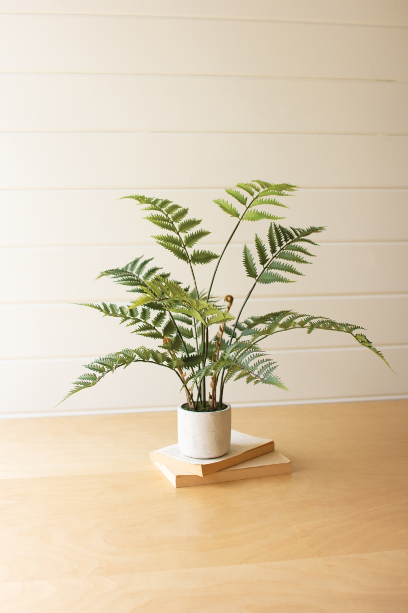 CYF1357 28 in. Artificial Fern in A Cement Pot