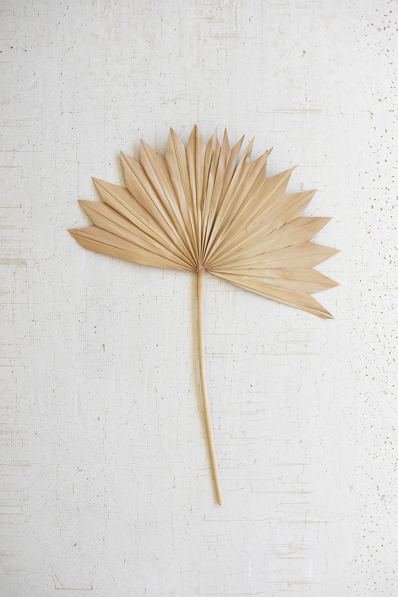NSBE1016 Natural Sun Palm Spear - Large