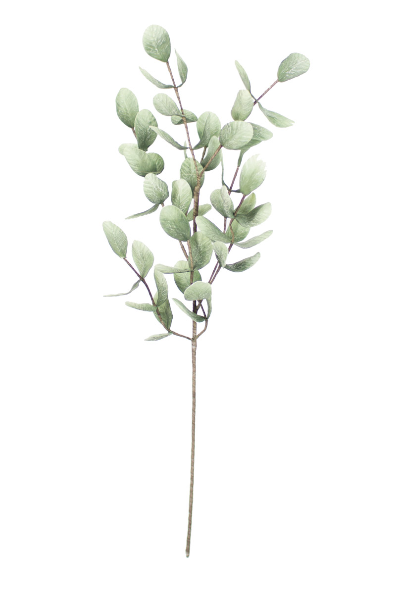 CLX2675 46 in. No.875 Botanica Decor - Case of 6