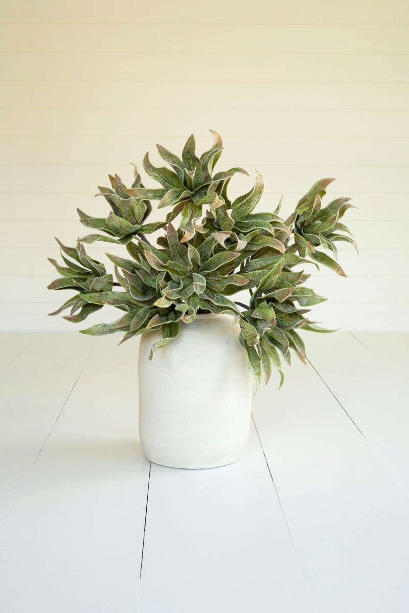 CSL2654 38 in. Botanica Plant & Pot