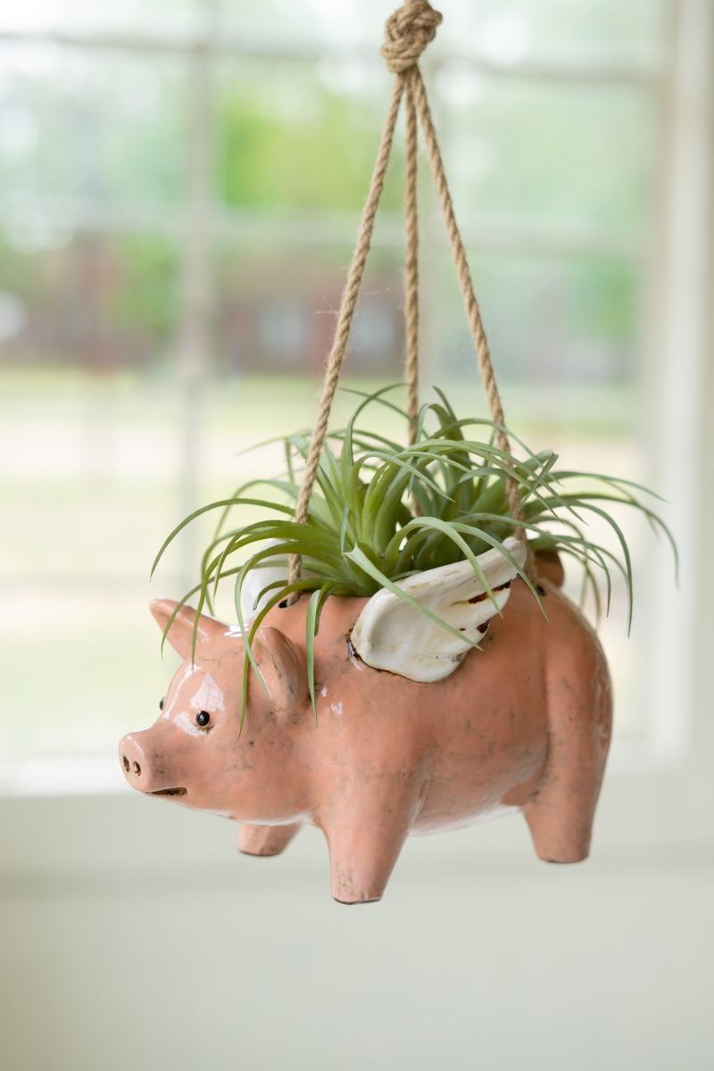 CDV2243 Ceramic Hanging Flying Pig Planter, Multi Color