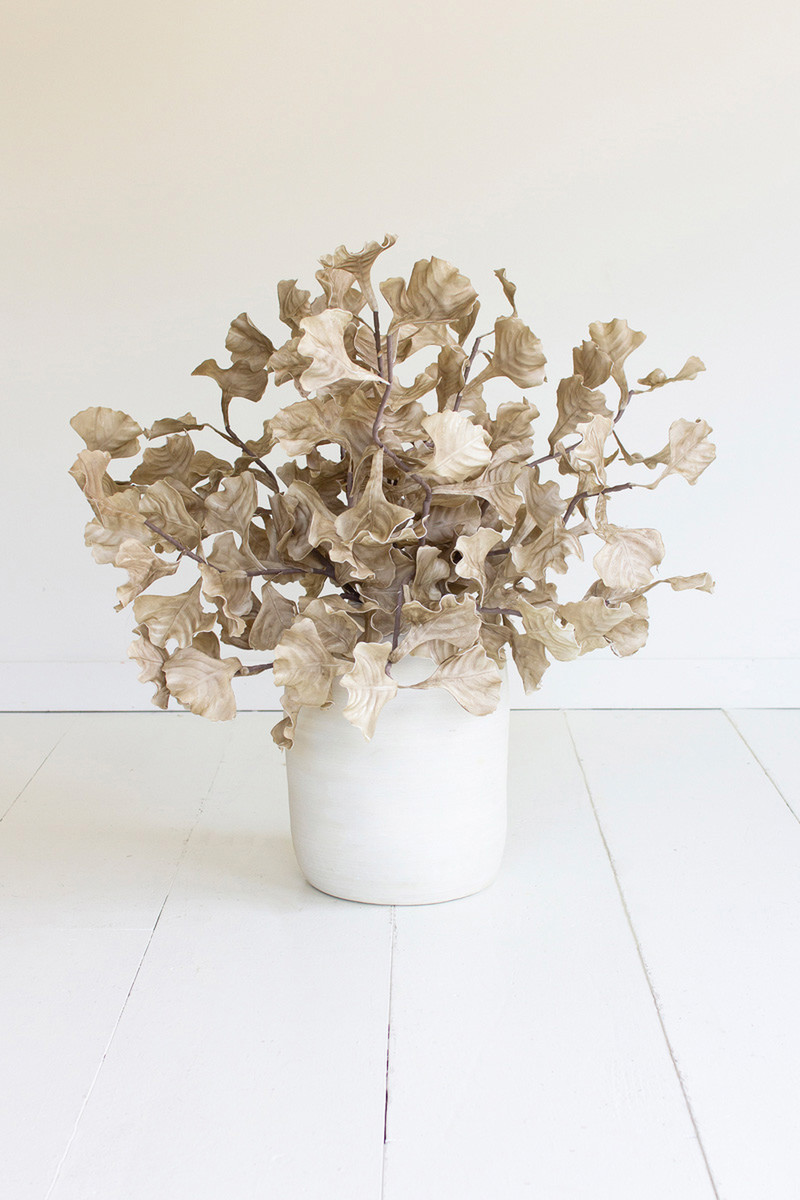 CLX3558 40 in. No.3558 Botanica Decor