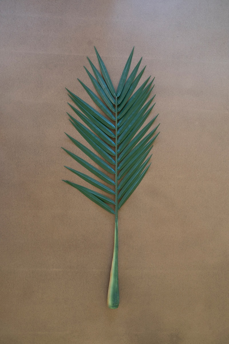 Picture of Kalalou CYF1504 Artificial Palm Frond&#44; Green