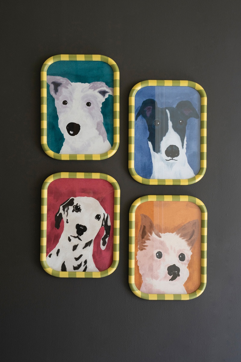 CHH1559 Framed Dog Prints Under Glass - Multi Color - Set of 4