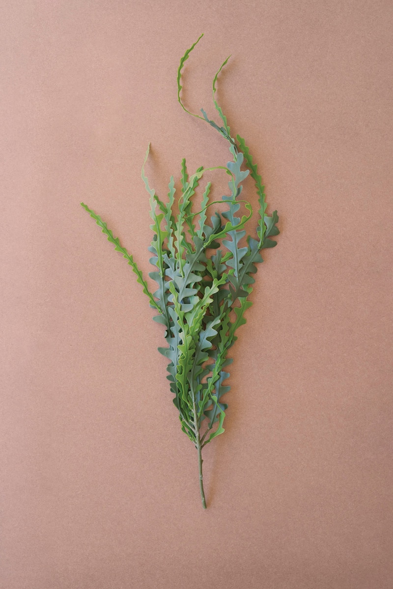 Picture of Kalalou CYF1496 Artificial Fern Stem&#44; Multi Color