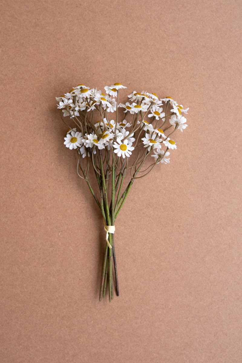 CHAL1067 10 in. Faux Chamomile Bundle, White