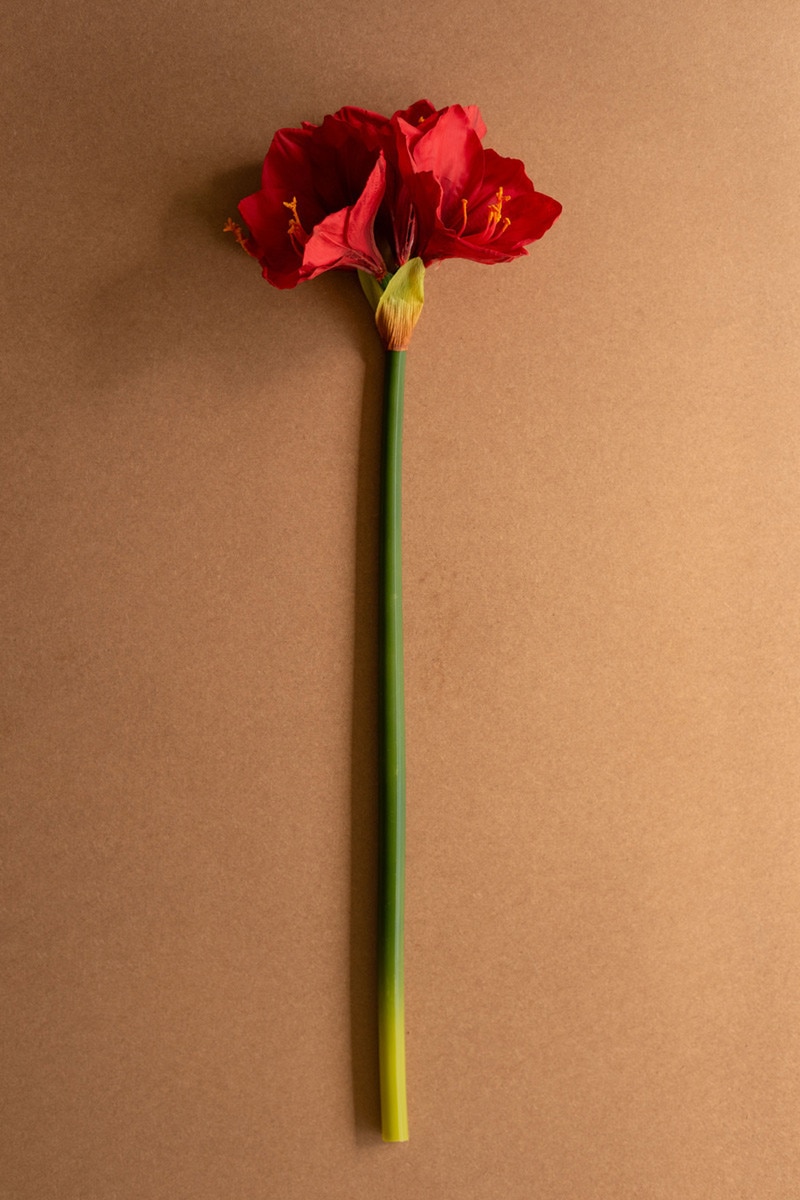 CYGA1014 30 in. Artificial Amaryllis Stem, Red