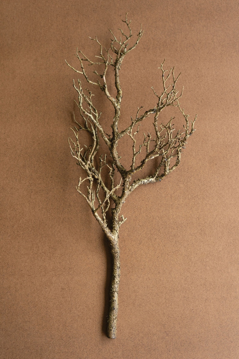 CYF1514 31 in. Artificial Dead Wood Branch, Brown