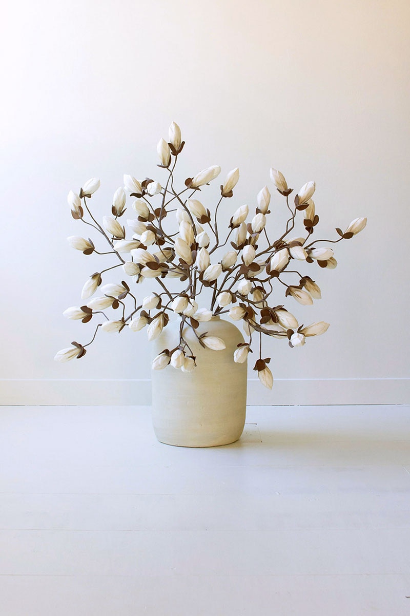 CSL2716 Botanica No.2716 Plants, Multi Color
