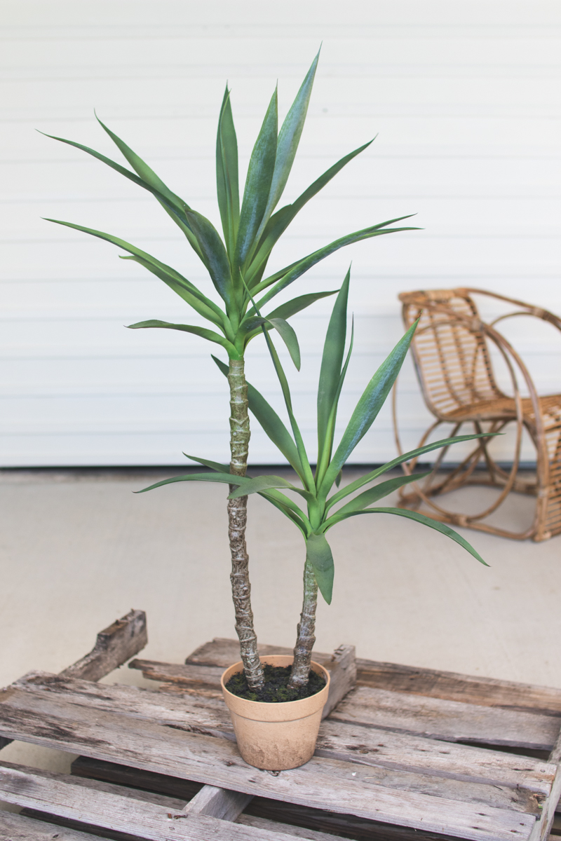 CYF1228 7 x 45 in. Artificial Heneken Plant with Painted Plastic Pot