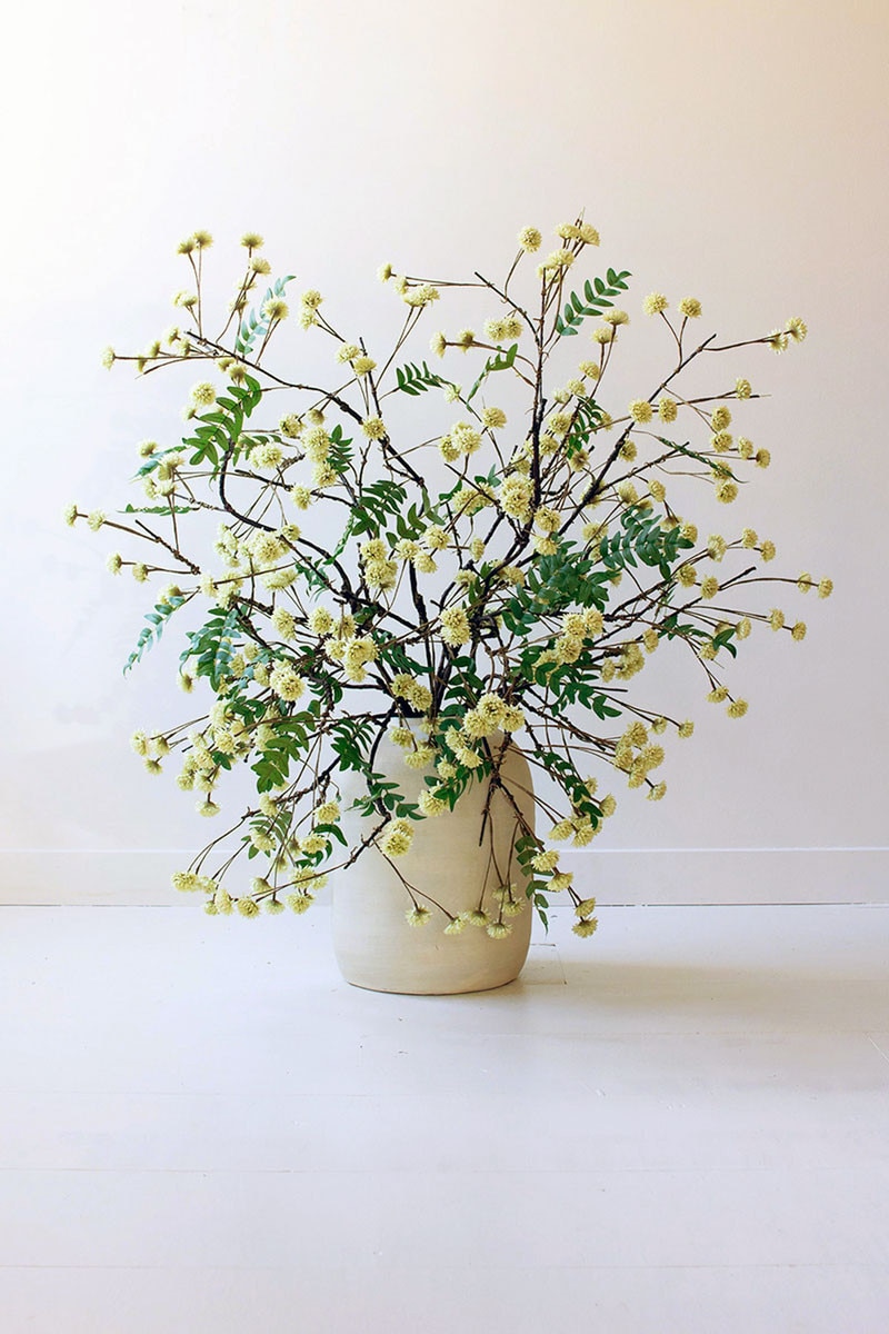 CLX3519 Botanica No.3519 Plants, Multi Color