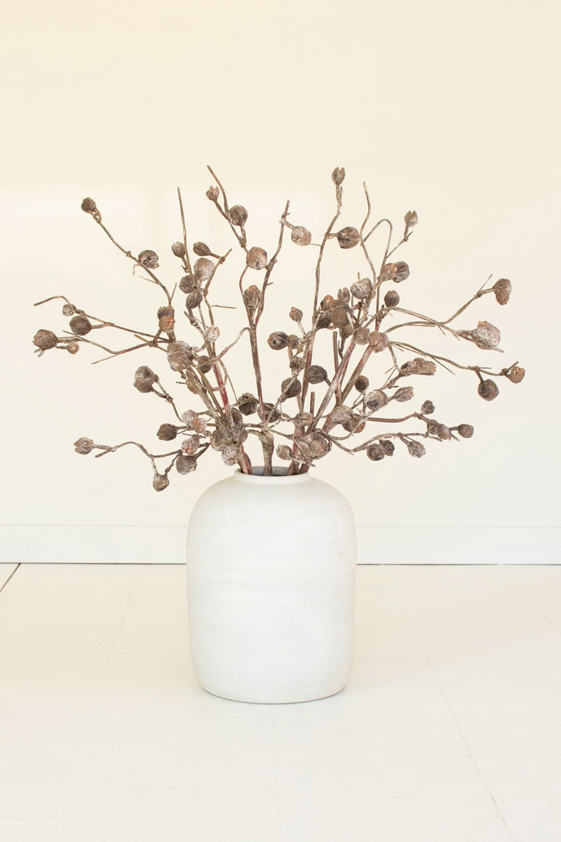 CSL2863 36 in. Botanica Curved Pod Branch Artificial Botanical Decor, Multi Color