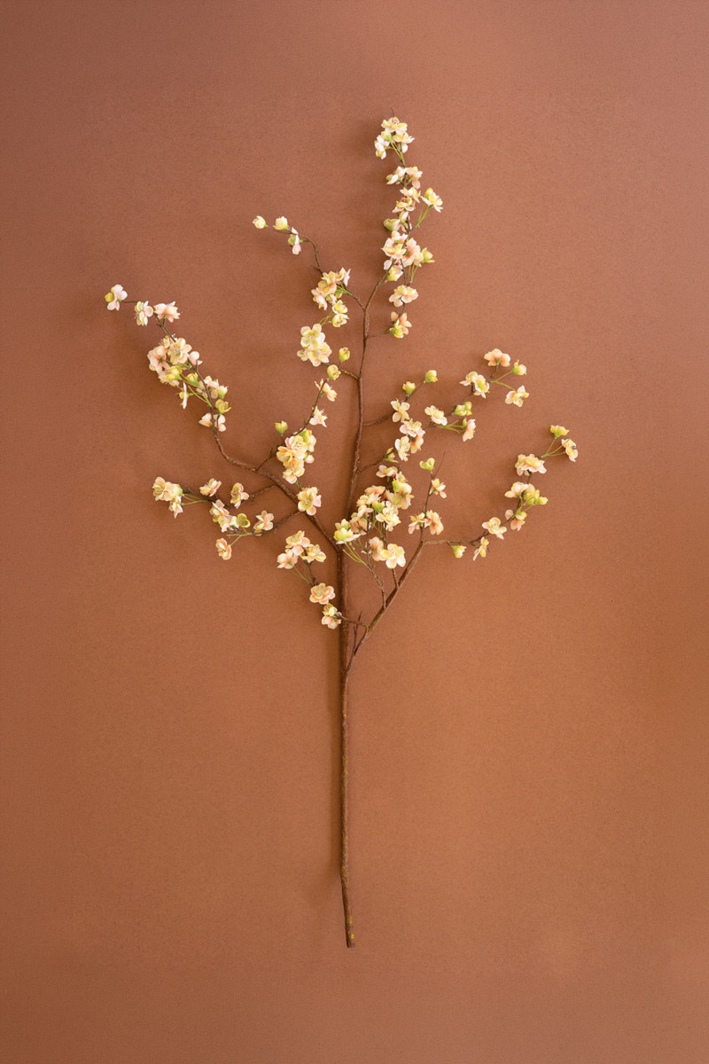 CSL2881 Botanica 2850 Spray