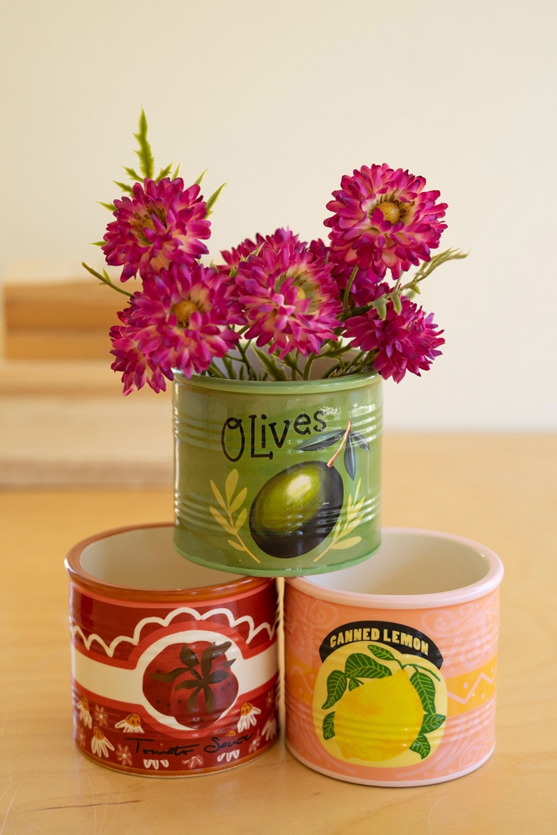 CTEN1006 Ceramic Canned Goods Planters, Multi Color