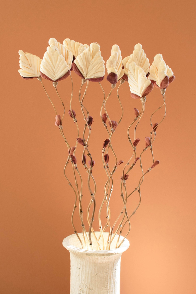 DEX1005 4 x 1 x 56 in. Cornhusk Botanical Fan Stems with Bamboo Accents Decorative Floral Picks, Multi Color
