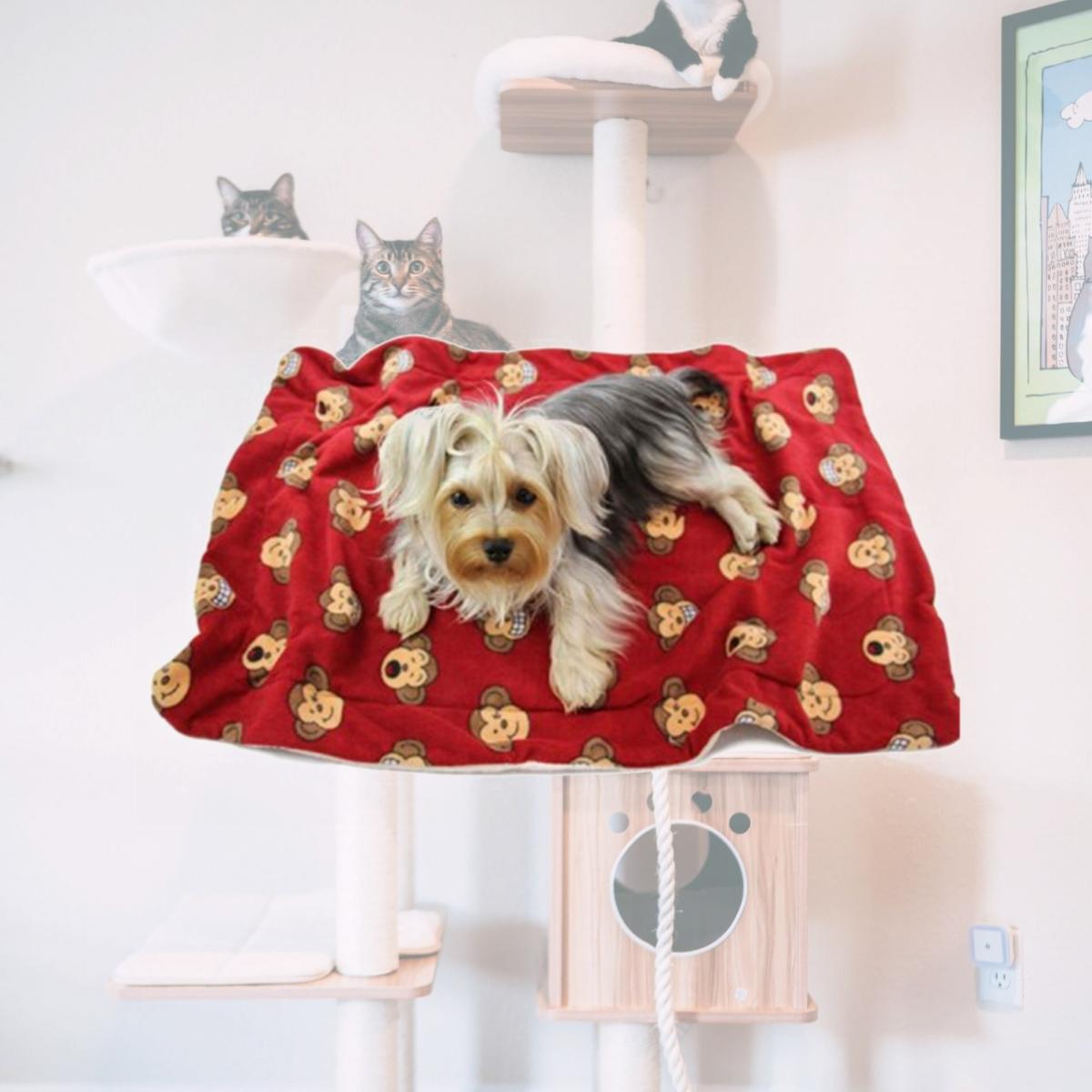 Picture of Klippo Pet KBLNK054 Silly Monkey Ultra-Plush Blanket- Burgundy - One Size