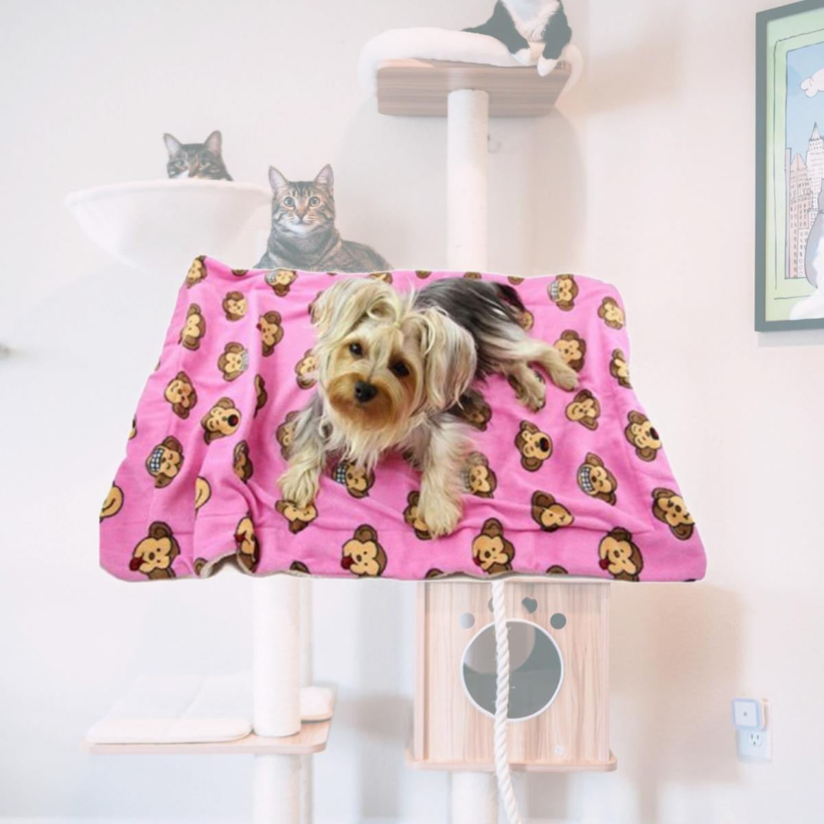 Picture of Klippo Pet KBLNK055 Silly Monkey Ultra-Plush Blanket- Pink - One Size