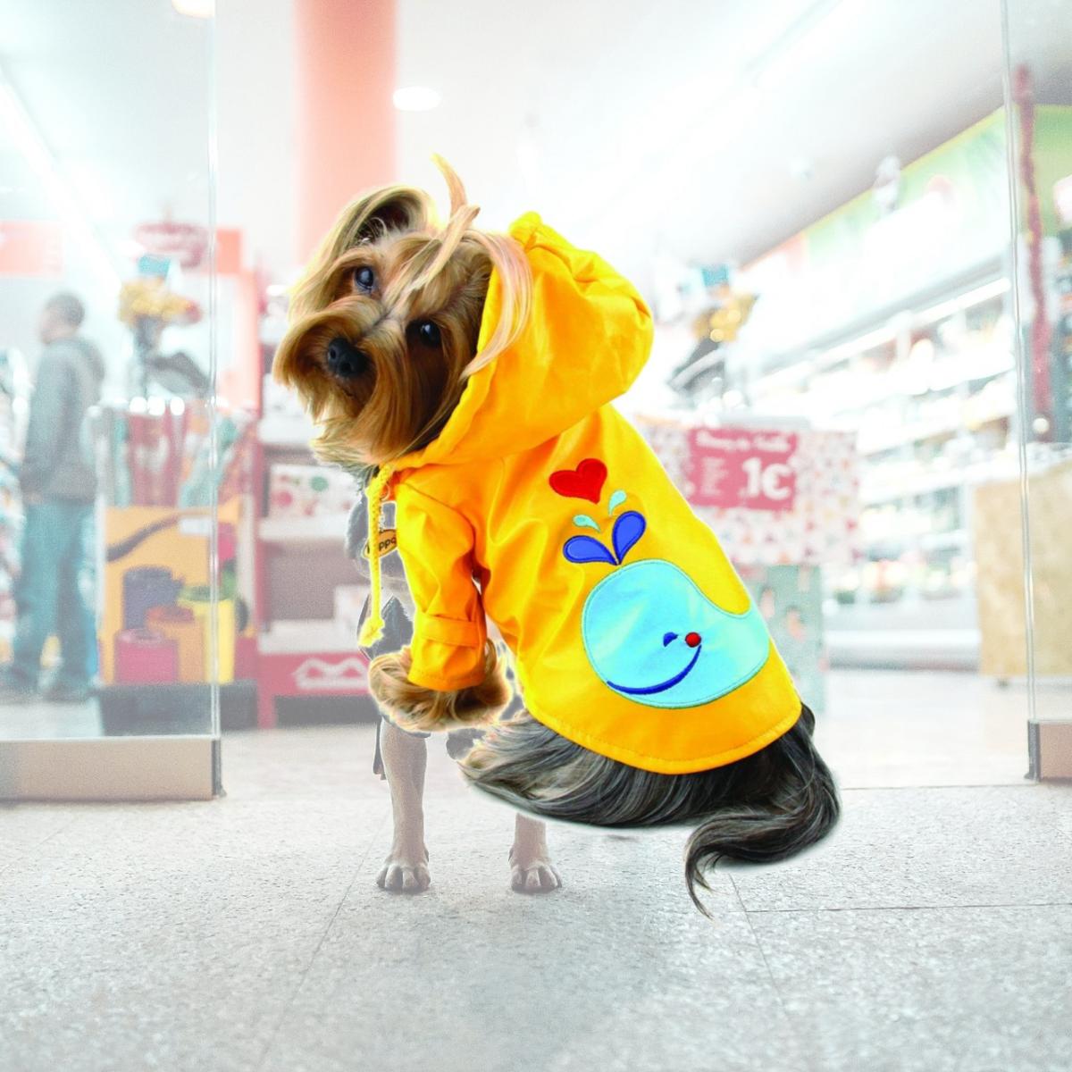 Picture of Klippo Pet KJK060XS Puppy Splashing Whale Raincoat - Extra Small