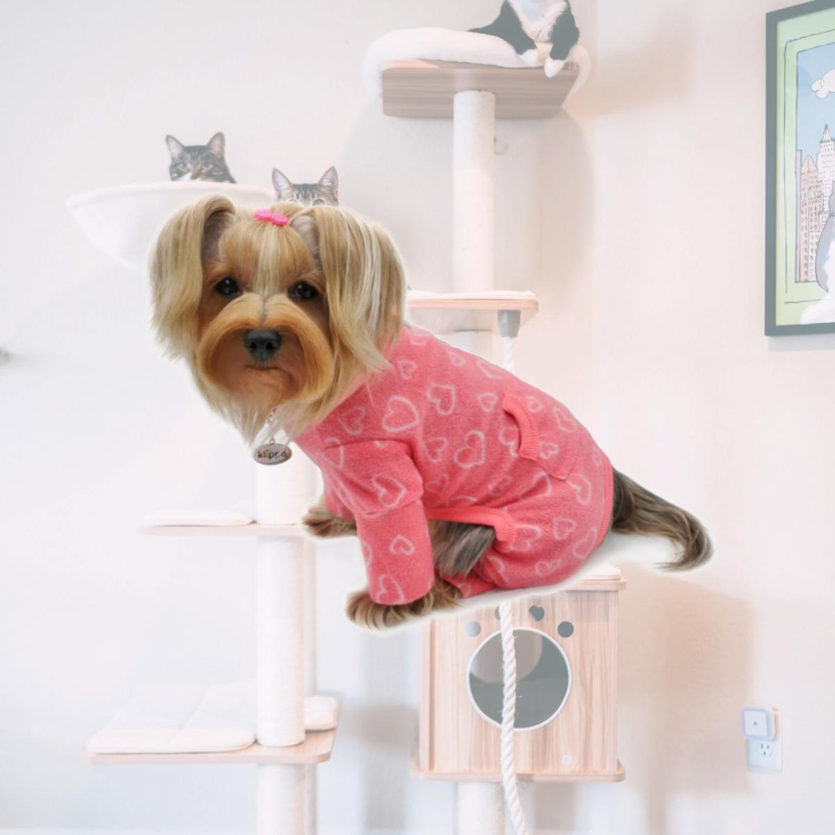 Picture of Klippo KBD090-S Blush of Love Fleece Turtleneck Pajamas - Small