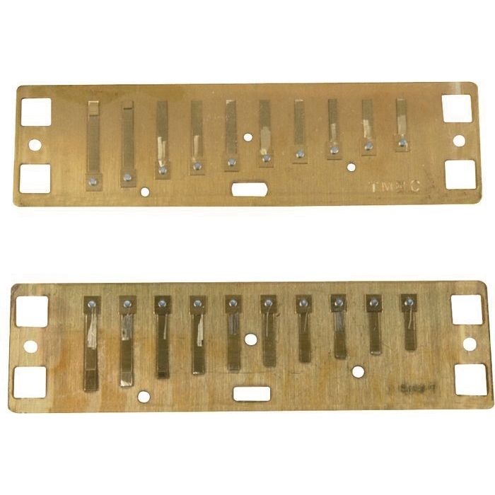 Lee Oskar 1910HRP-MN-D-U Reed Plate Minor Harmonica - Model D