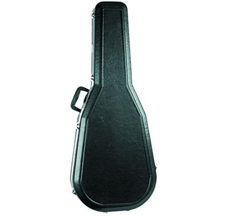 Acoustic Guitar Case
