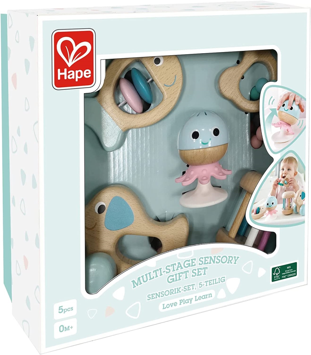 Picture of Hape 30393145 5 Piece Wooden Multi-Stage Sensory Gift Set