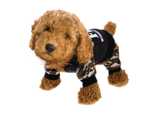 Picture of Kole Imports VR046-4 Fbi Pet Costume - Pack of 4