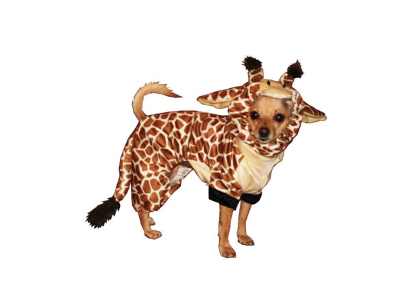 Picture of Kole Imports VR051-2 Giraffe Pet Costume - Pack of 2