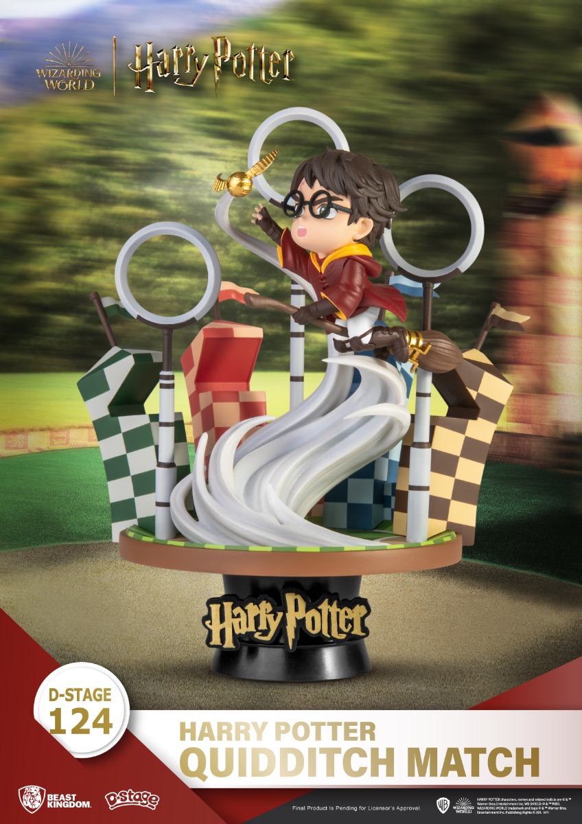 DS-124 Harry Potter Quidditch Match Figure