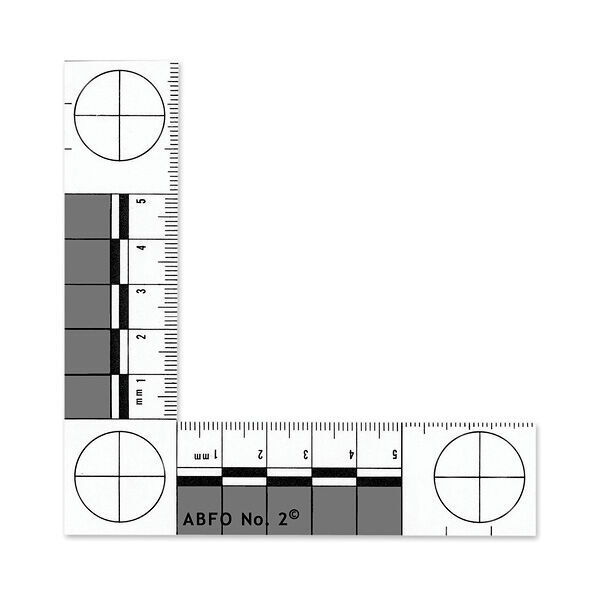 LP-6-3875 ABFO No. 2 Photo Macrographic Scale, Clear