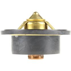 Engine Coolant Thermostat