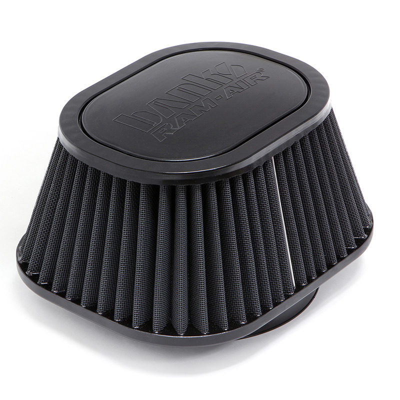B76-42138D Dry Air Filter