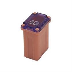Micro Female Time Delay Fuse