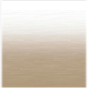 13 ft. 2 in. Camel Shale Fade White Weatherguard
