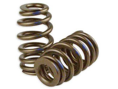 2612016 Beehive Valve Spring Universal