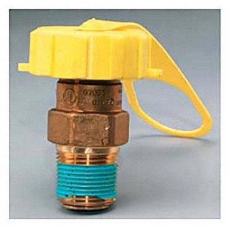 V13230 LP Tank Valve Cap & Strap