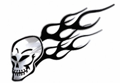 T1952 Steel Effects Skull, Chrome & Black