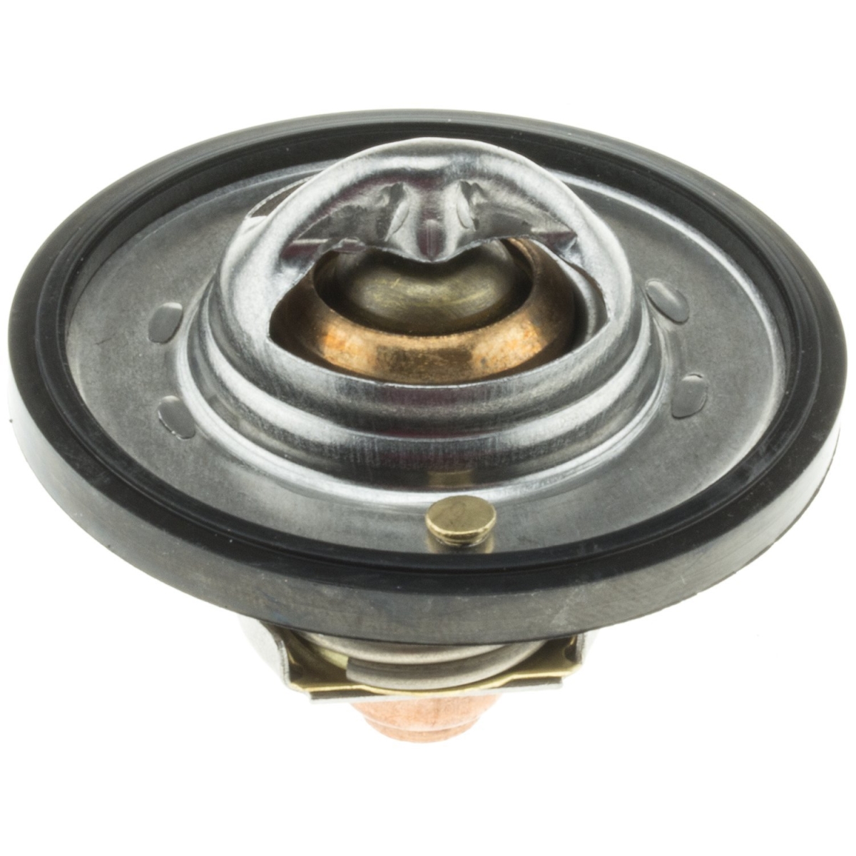7421180 Fail-Safe Thermostat Case, 2.1 lbs
