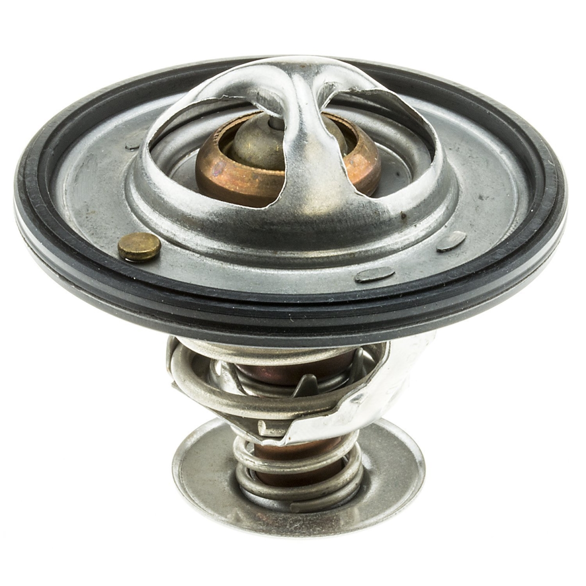 762194 Thermostat with Seal - 1 lbs